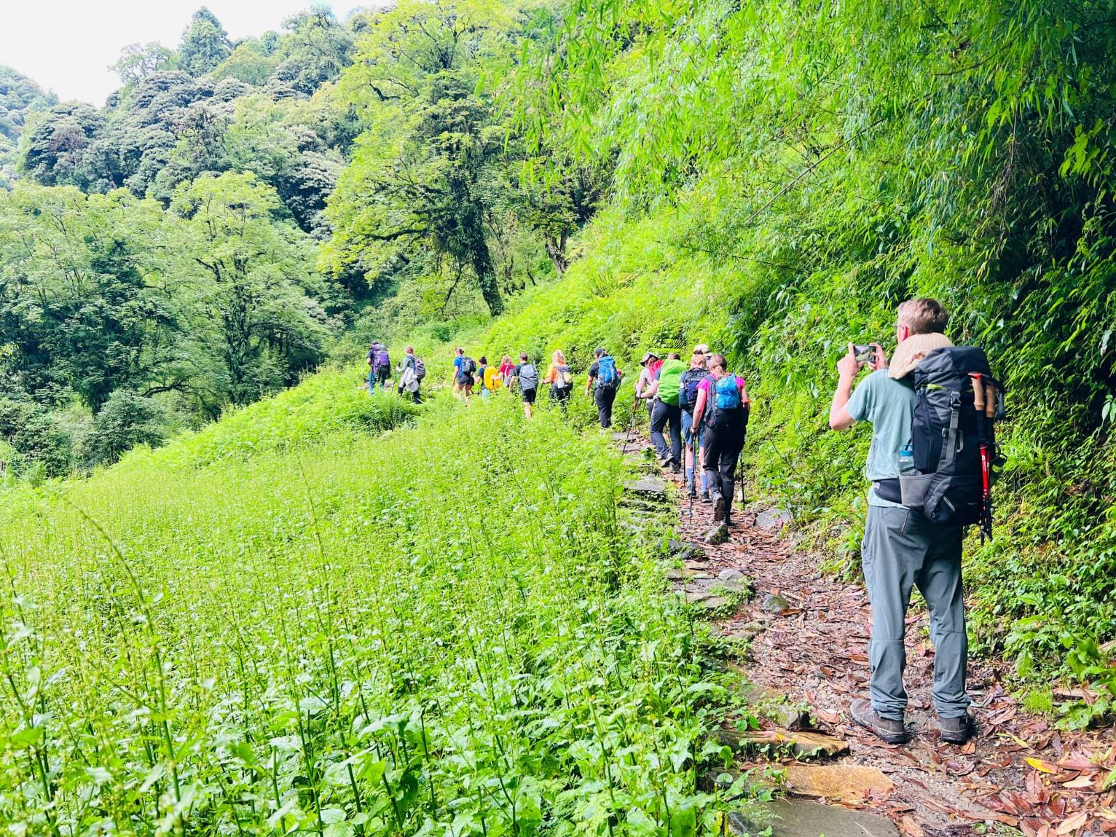 Trek with Nepwise Adventures