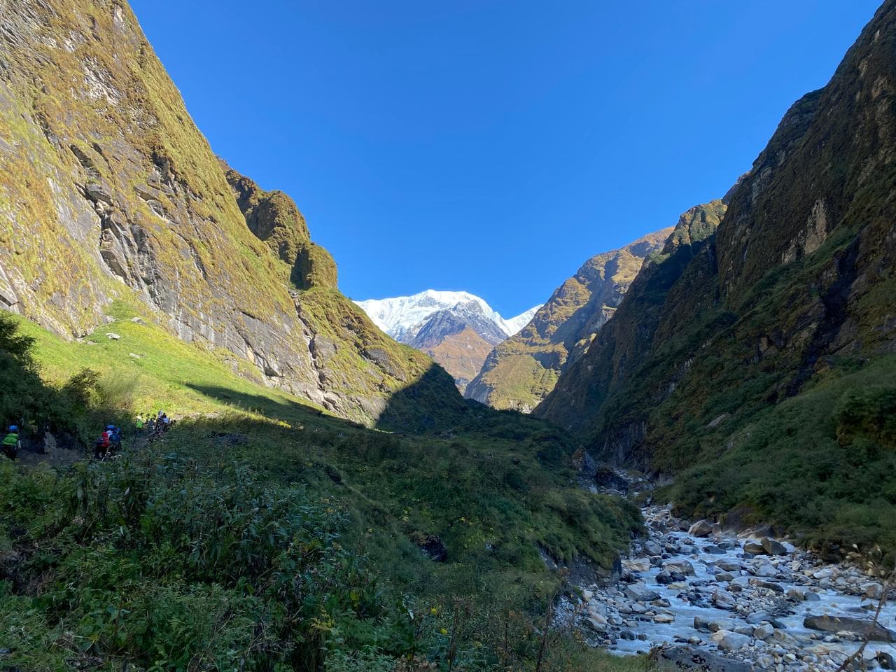 Trek with Nepwise Adventures