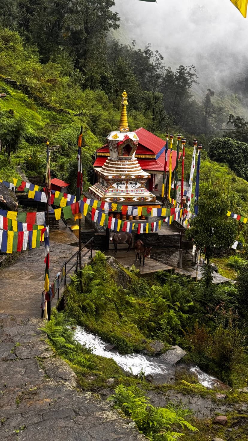 Annapurna Base Camp Trek 2025 - Image 4