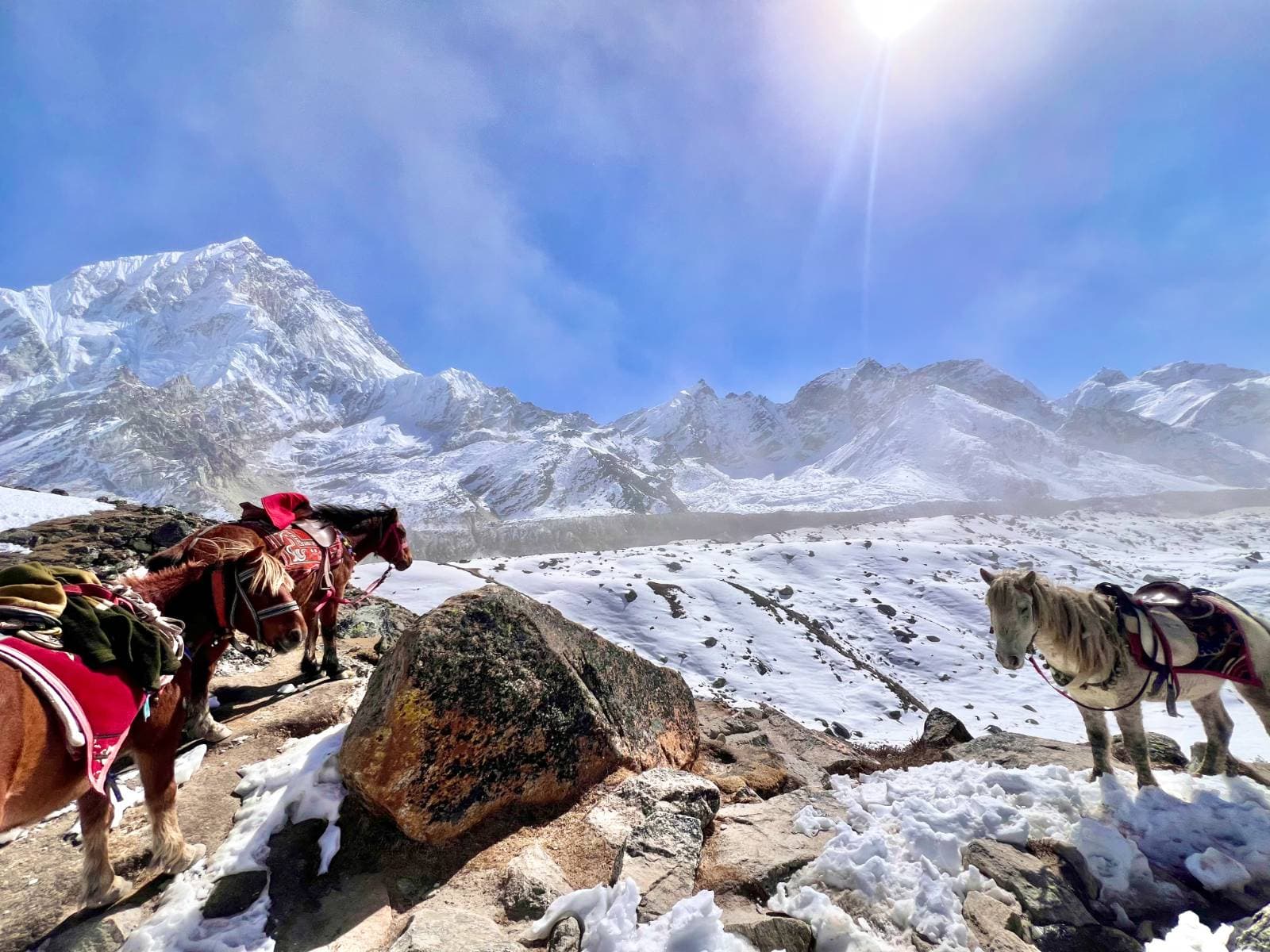 Trek with Nepwise Adventures