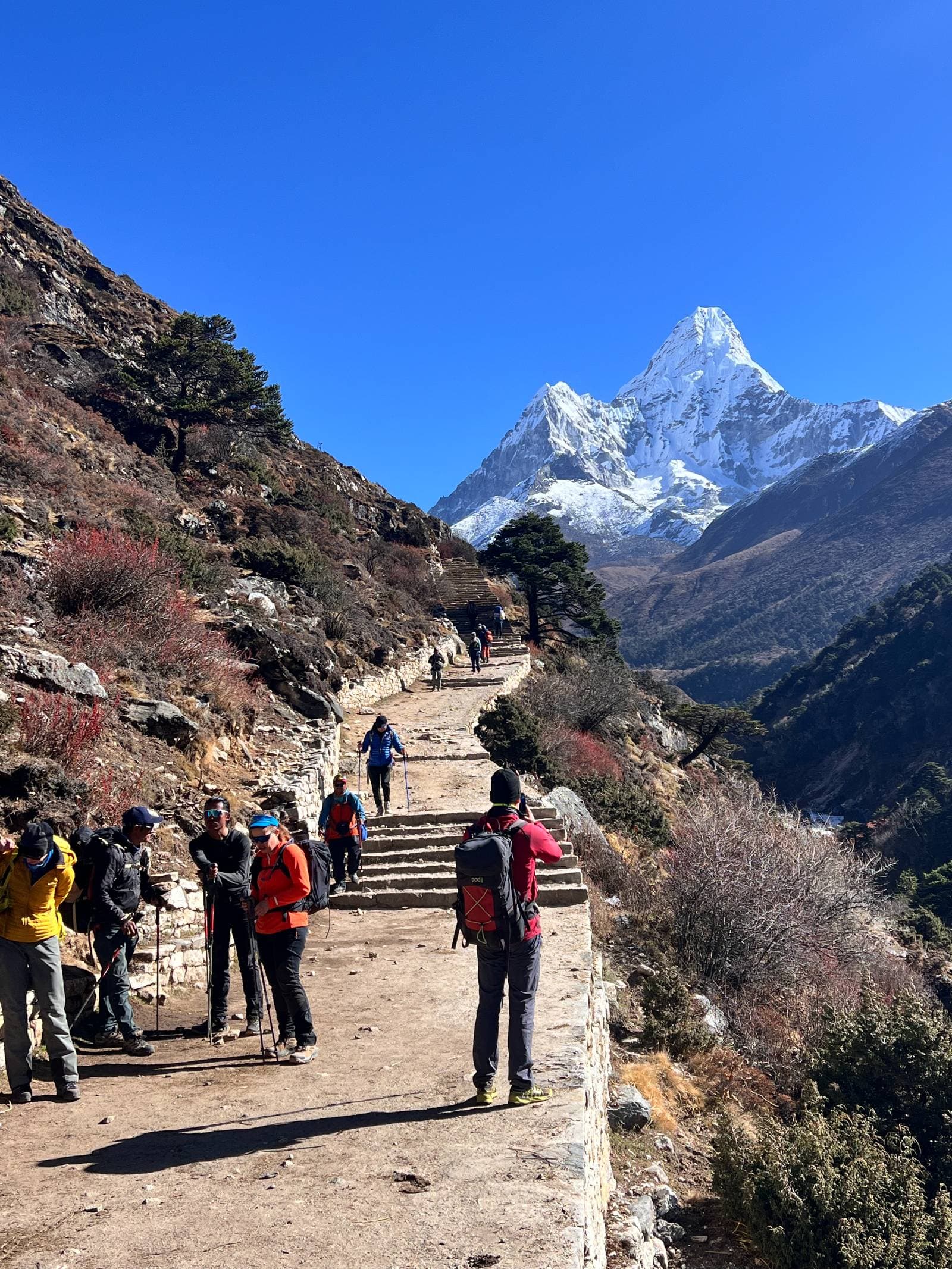 Trek with Nepwise Adventures