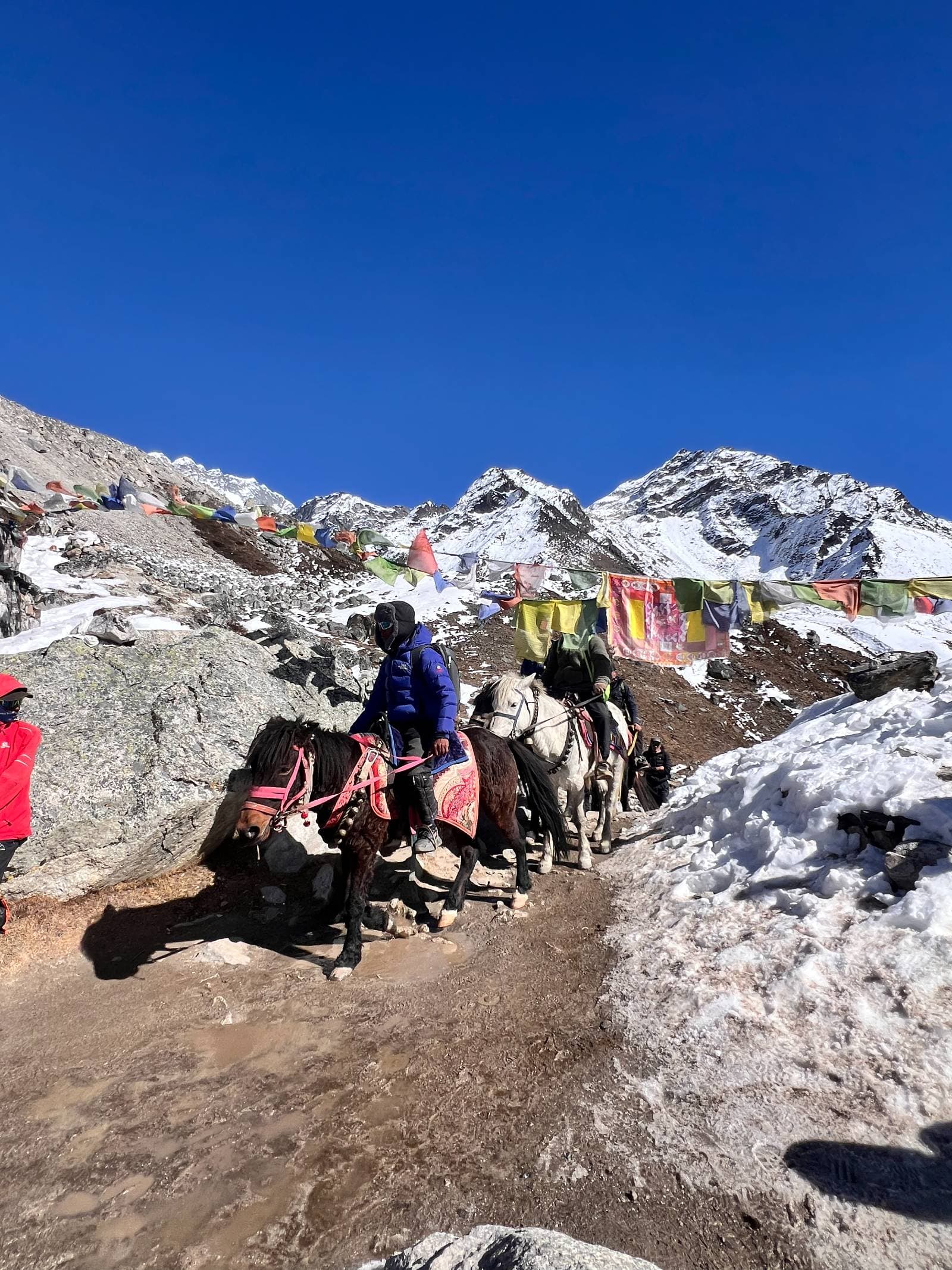 Trek with Nepwise Adventures