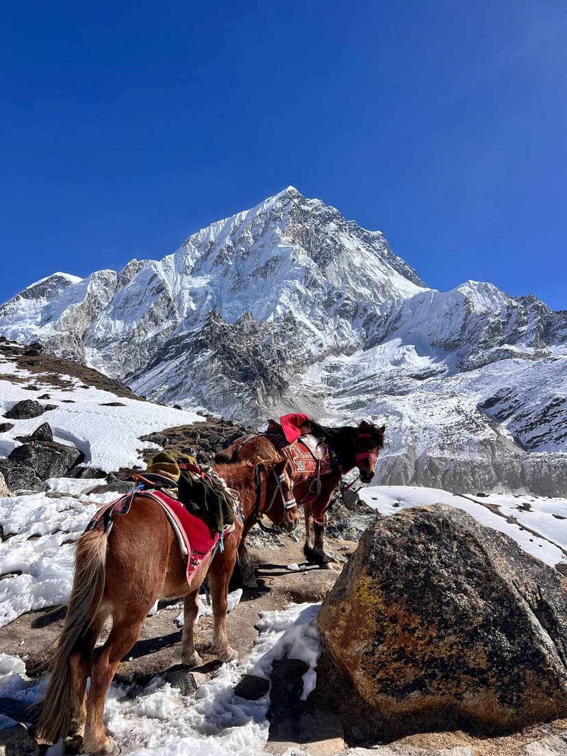 Everest Base Trek 2025 - Image 1