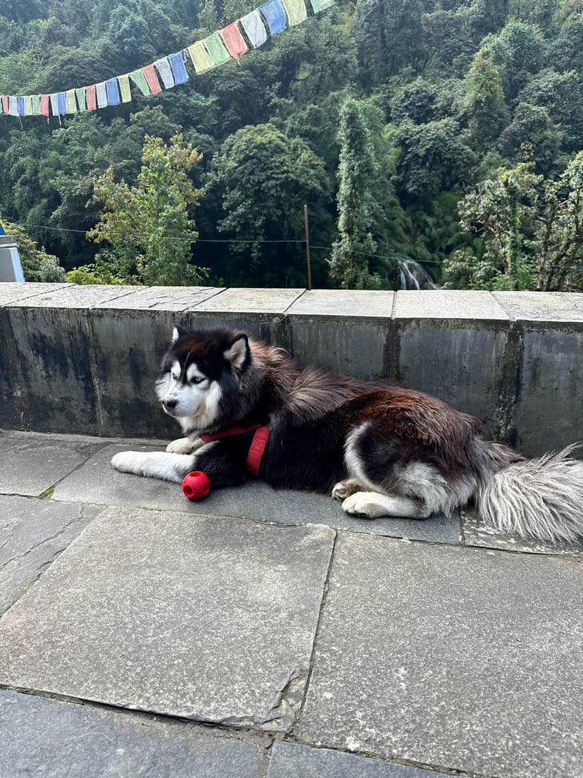 ABC | 16 April | Amrit Magar - Image 5