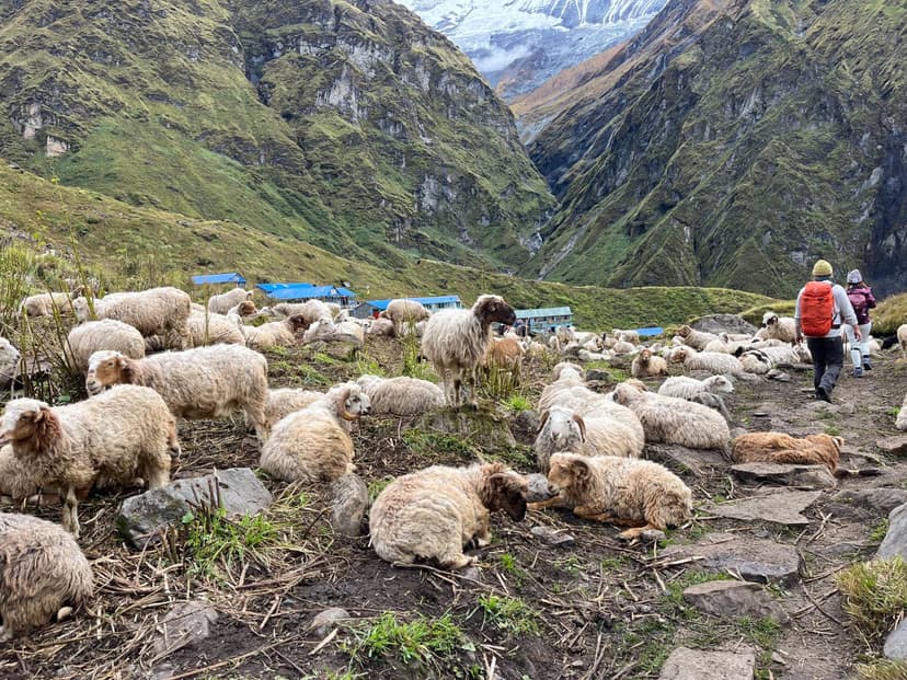 ABC | 16 April | Amrit Magar - Image 11