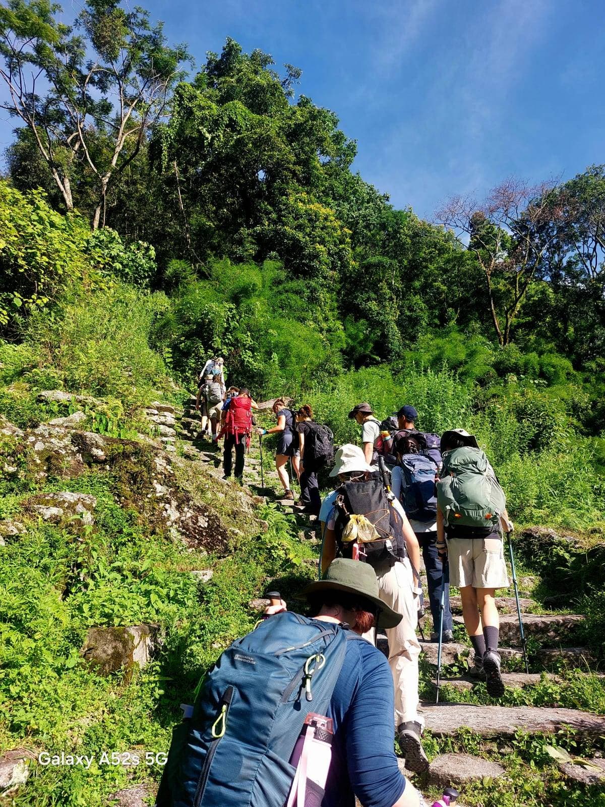 Trek with Nepwise Adventures