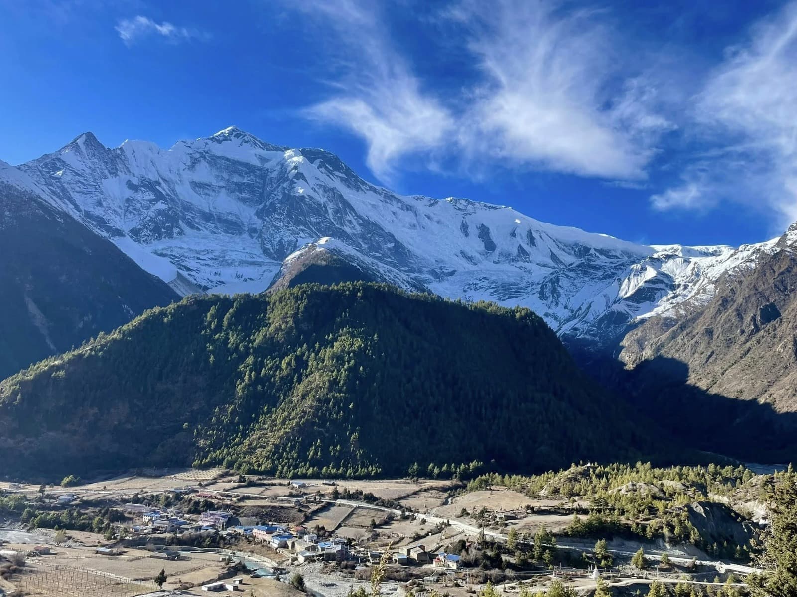Trek with Nepwise Adventures
