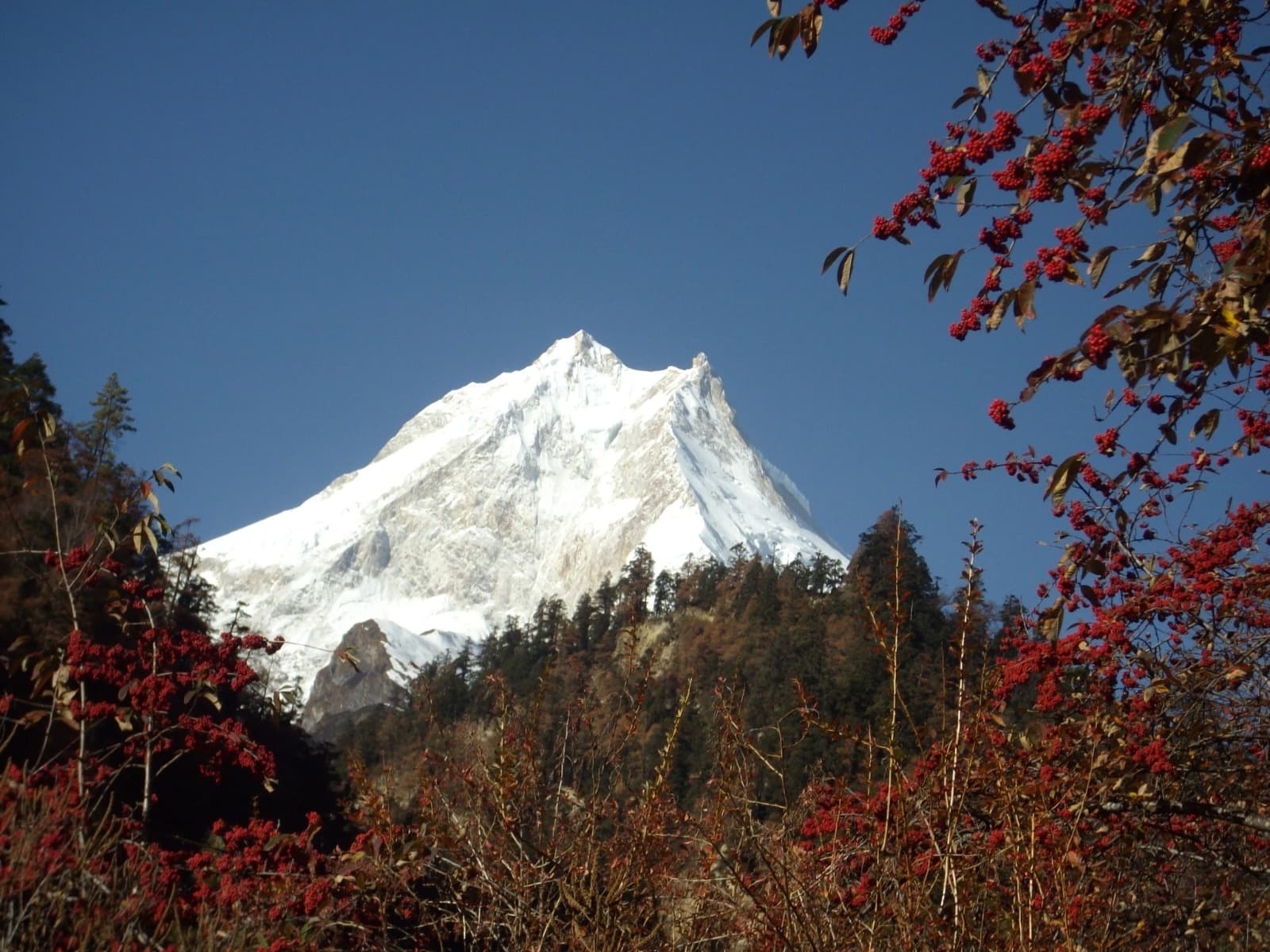 Trek with Nepwise Adventures