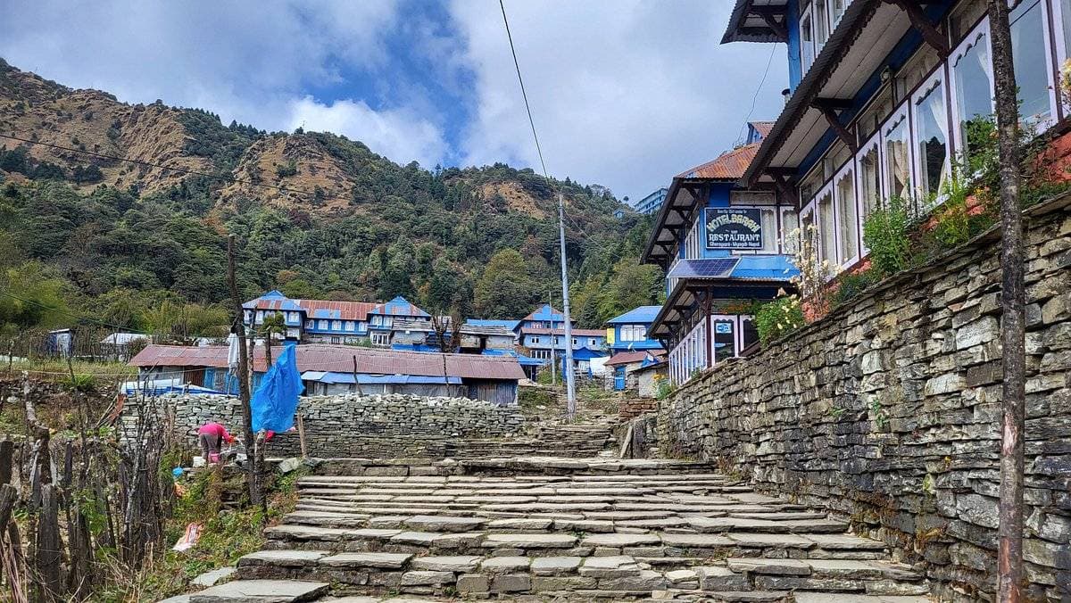 Trek with Nepwise Adventures